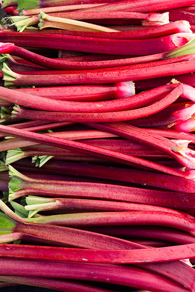 Rhubarb